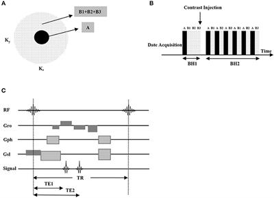 Differential subsampling with cartesian ordering: A high spatial-temporal resolution dixon imaging sequence for assessment of dural arteriovenous fistula